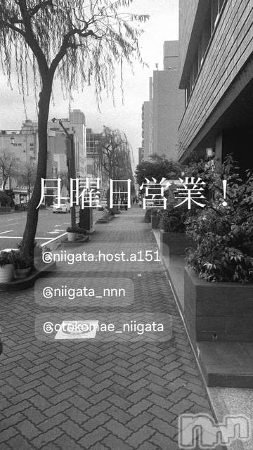 ��Į�ۥ��ȡ��ܡ������С�A151(�����������ݥ���) ��2026ǯ4��6���̥�֥����ַ�������