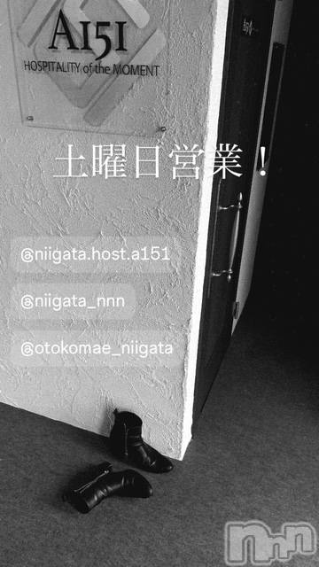 ��Į�ۥ��ȡ��ܡ������С�A151(�����������ݥ���) ��2026ǯ4��11���̥�֥�������������