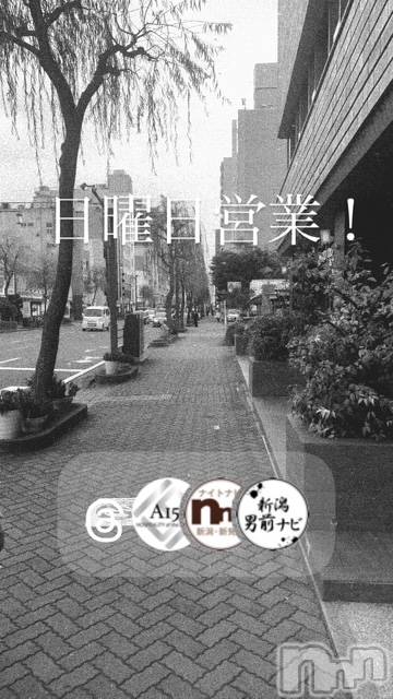 ��Į�ۥ��ȡ��ܡ������С�A151(�����������ݥ���) ��2026ǯ5��31���̥�֥�������������