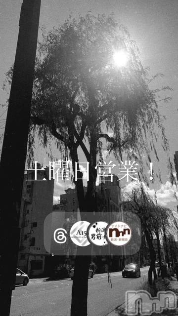 ��Į�ۥ��ȡ��ܡ������С�A151(�����������ݥ���) ��2026ǯ7��4���̥�֥�������������