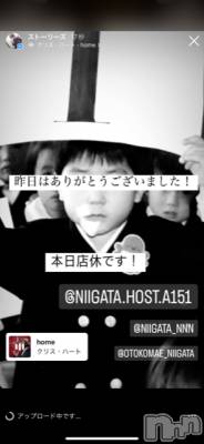 ĮۥȡܡСA151(ݥ) ɥХ 褦(18)91̥֥