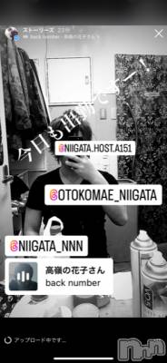 ĮۥȡܡСA151(ݥ) ɥХ 褦(18)98̥֥