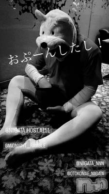 ĮۥȡܡСA151(ݥ) ɥХ 褦(18)712ֿ̥֥