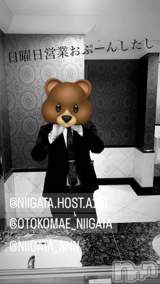 ĮۥȡܡСA151(ݥ) ɥХ 褦(18)730̥֥