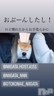 ĮۥȡܡСA151(ݥ) ɥХ 褦(18)820̥֥
