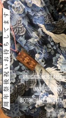 ĮۥȡܡСA151(ݥ) ɥХ 褦(18)827̥֥