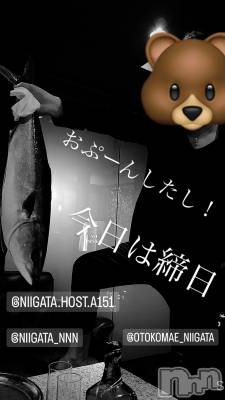 ĮۥȡܡСA151(ݥ) ɥХ 褦(18)831̥֥