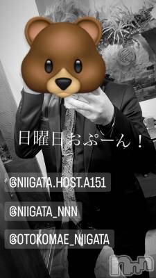 ĮۥȡܡСA151(ݥ) ɥХ 褦(18)93̥֥