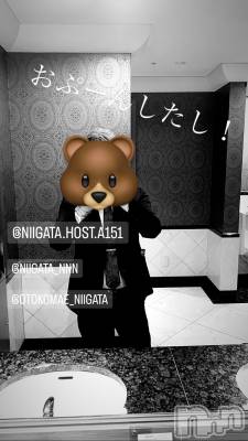 ĮۥȡܡСA151(ݥ) ɥХ 褦(18)97̥֥