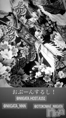 ĮۥȡܡСA151(ݥ) ɥХ 褦(18)921̥֥
