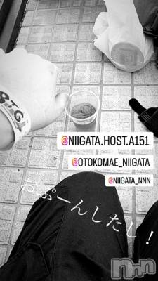 ĮۥȡܡСA151(ݥ) ɥХ 褦(18)927ֿ̥֥