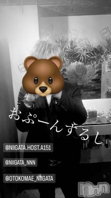 ĮۥȡܡСA151(ݥ) ɥХ 褦(18)105̥֥