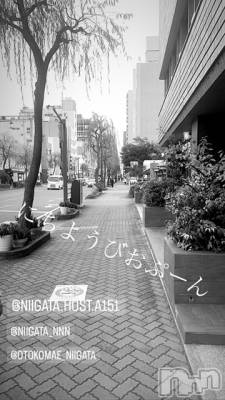 ĮۥȡܡСA151(ݥ) ɥХ 褦(18)1015̥֥
