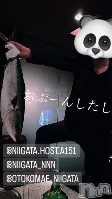 ĮۥȡܡСA151(ݥ) ɥХ 褦(18)1019̥֥