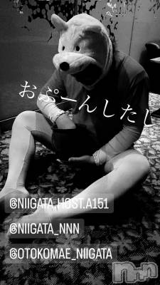 ĮۥȡܡСA151(ݥ) ɥХ 褦(18)116ַ̥֥