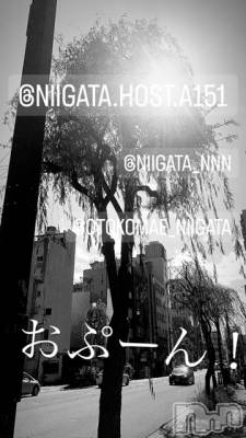 ĮۥȡܡСA151(ݥ) ɥХ 褦(18)1126̥֥