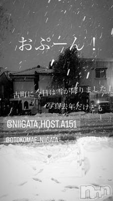 ĮۥȡܡСA151(ݥ) ɥХ 褦(18)1217̥֥