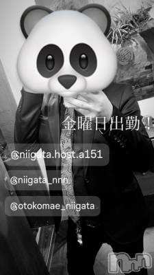 ĮۥȡܡСA151(ݥ) ɥХ 褦(18)412ֶ̥֥