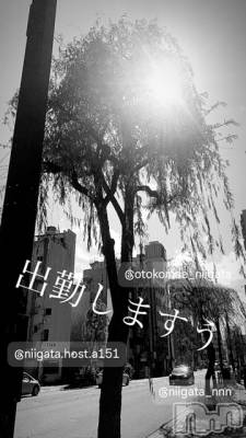 ĮۥȡܡСA151(ݥ) ɥХ 褦(18)516̥֥