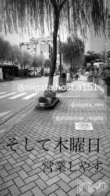 ĮۥȡܡСA151(ݥ) ɥХ 褦(18)530̥֥