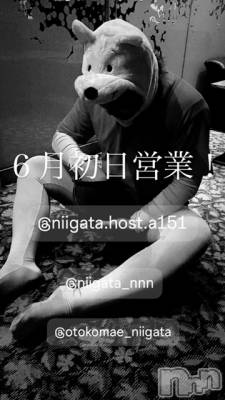 ĮۥȡܡСA151(ݥ) ɥХ 褦(18)62̥֥