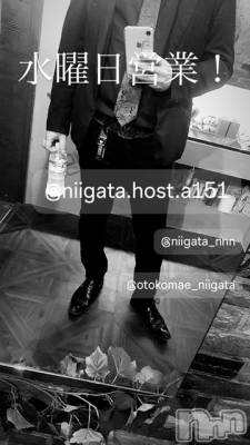 ĮۥȡܡСA151(ݥ) ɥХ 褦(18)65ֿ̥֥