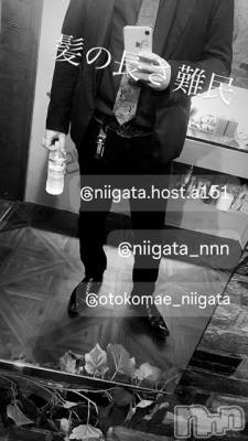 ĮۥȡܡСA151(ݥ) ɥХ 褦(18)718̥֥