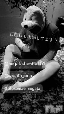 ĮۥȡܡСA151(ݥ) ɥХ 褦(18)721̥֥