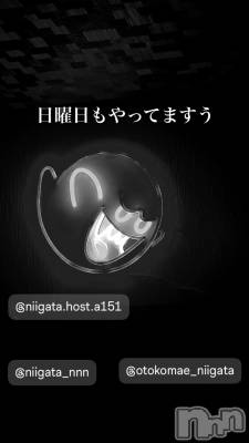 ĮۥȡܡСA151(ݥ) ɥХ 褦(18)728̥֥