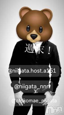 ĮۥȡܡСA151(ݥ) ɥХ 褦(18)96ֶ̥֥