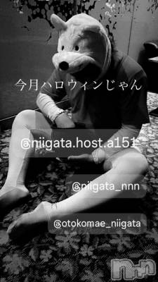 ĮۥȡܡСA151(ݥ) ɥХ 褦(18)103̥֥
