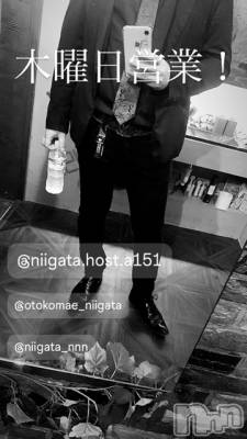 ĮۥȡܡСA151(ݥ) ɥХ 褦(18)1017̥֥