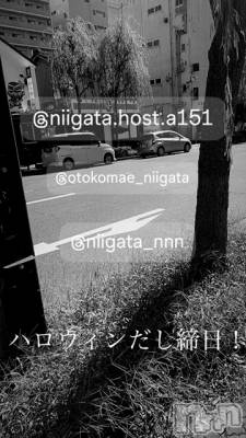ĮۥȡܡСA151(ݥ) ɥХ 褦(18)1031̥֥