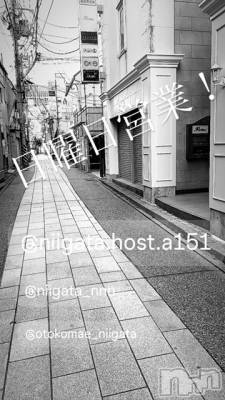 ĮۥȡܡСA151(ݥ) ɥХ 褦(18)1117̥֥
