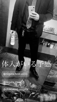 ĮۥȡܡСA151(ݥ) ɥХ 褦(18)1221̥֥