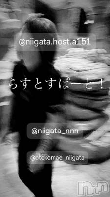 ĮۥȡܡСA151(ݥ) ɥХ 褦(18)1226̥֥