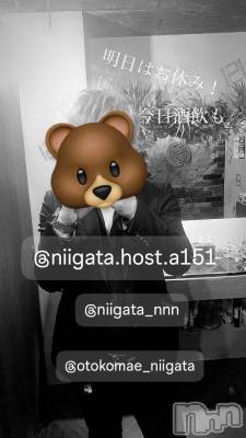 ĮۥȡܡСA151(ݥ) ɥХ 褦(18)112̥֥