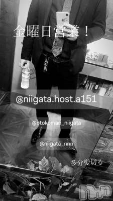 ĮۥȡܡСA151(ݥ) ɥХ 褦(18)117ֶ̥֥