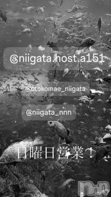 ĮۥȡܡСA151(ݥ) ɥХ 褦(18)29̥֥