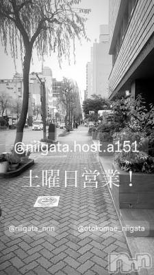 ĮۥȡܡСA151(ݥ) ɥХ 褦(18)315̥֥