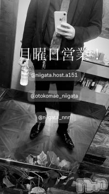 ĮۥȡܡСA151(ݥ) ɥХ 褦(18)512̥֥