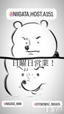 ĮۥȡܡСA151(ݥ) ɥХ 褦(18)727̥֥