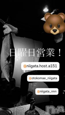 ĮۥȡܡСA151(ݥ) 褦(18)97̥֥