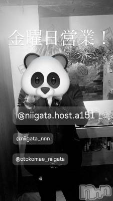 ĮۥȡܡСA151(ݥ) 褦(18)919ֶ̥֥