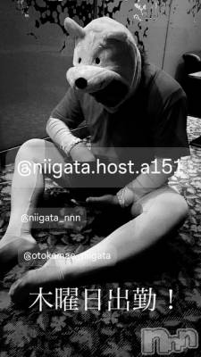 ĮۥȡܡСA151(ݥ) 褦(18)925̥֥