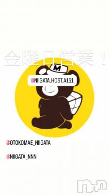 ĮۥȡܡСA151(ݥ) 褦(18)103ֶ̥֥