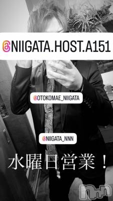 ĮۥȡܡСA151(ݥ) 褦(18)115ֿ̥֥