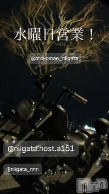 ĮۥȡܡСA151(ݥ) 褦(18)1112ֿ̥֥