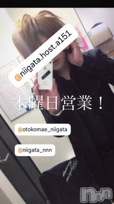 ĮۥȡܡСA151(ݥ) 褦(18)1113̥֥