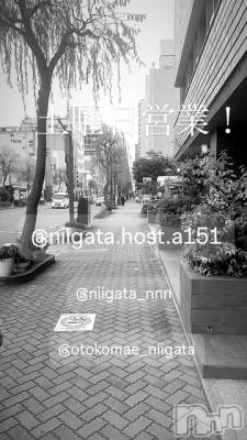 ĮۥȡܡСA151(ݥ) 褦(18)1115̥֥Ķȡ